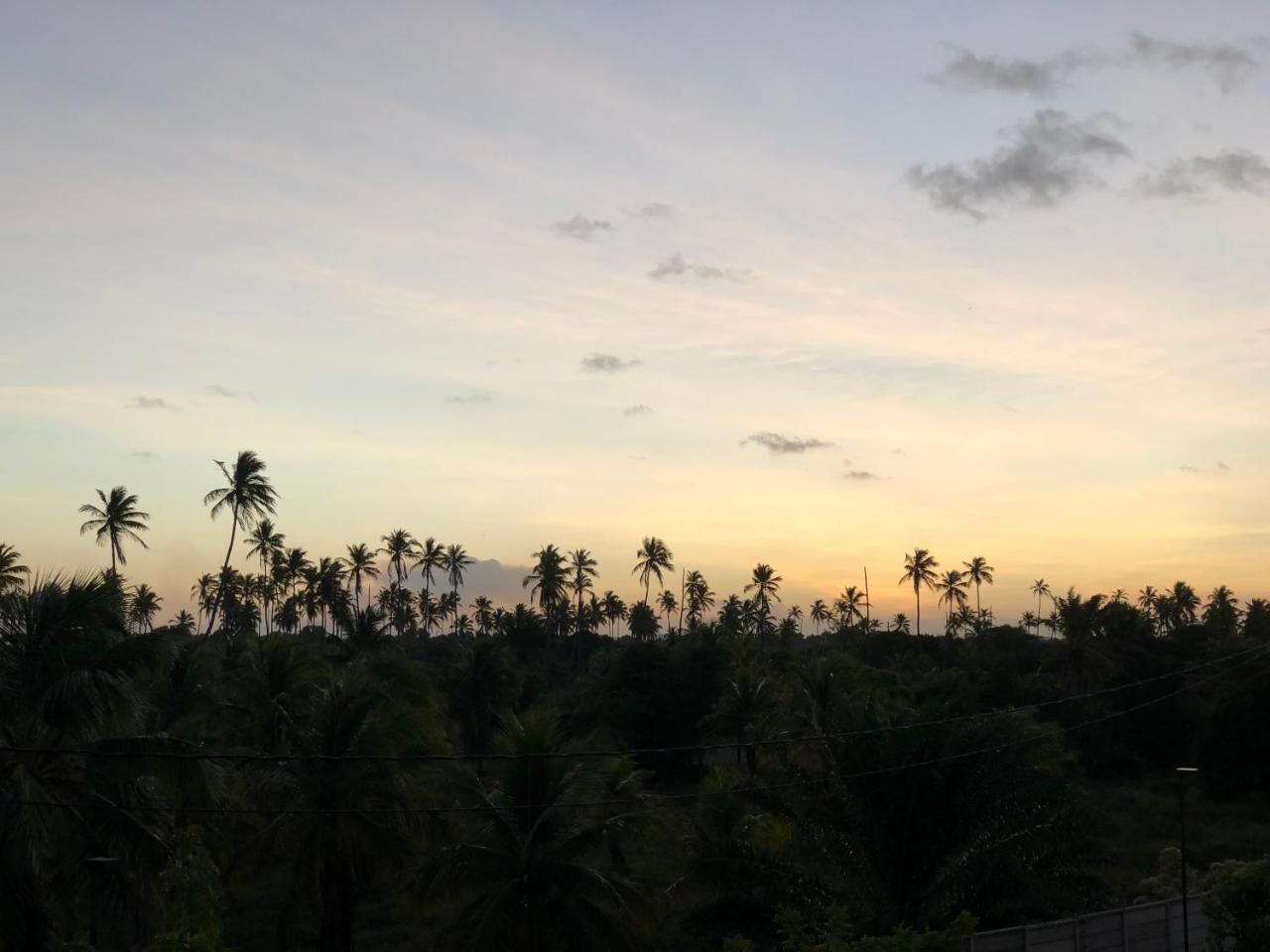 Palm Acqua Resort Pôrto das Galinhas エクステリア 写真